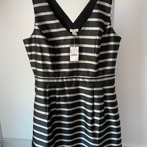 J Crew dress